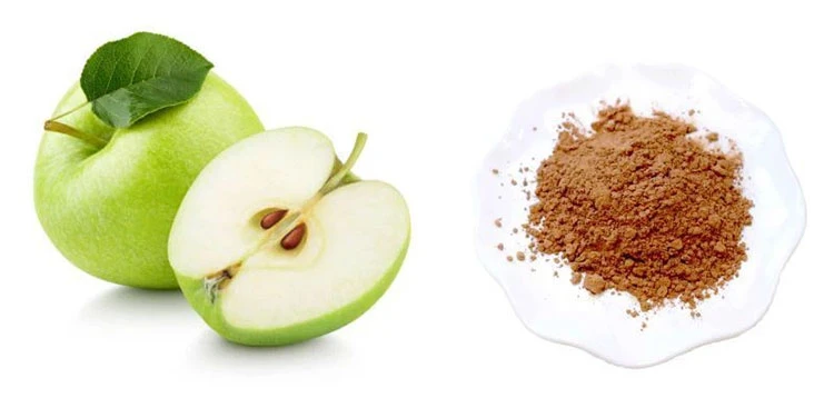 Apple-Polyphenol-Extract Apple-Polyphenol-Extract